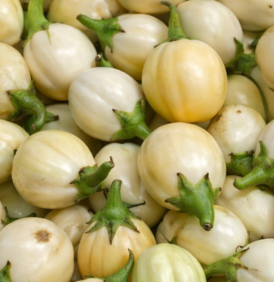 Aubergines africaines ronde