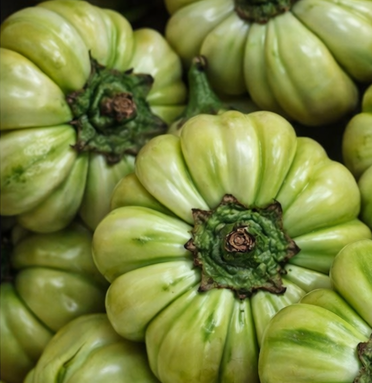 Aubergines africaines (Djakhatou)