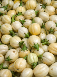 Aubergines africaines ronde