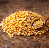 Graines de maïs – 100 g