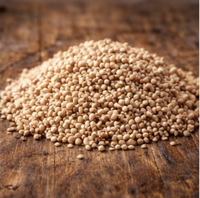 Graines de sorgho – 100 g