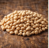 Graines de soja – 100 g