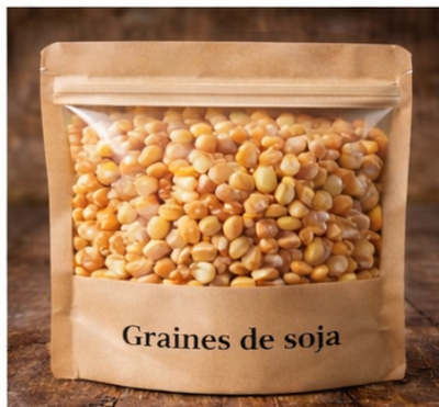 Graines de maïs – 100 g