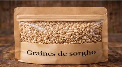 Graines de sorgho – 100 g