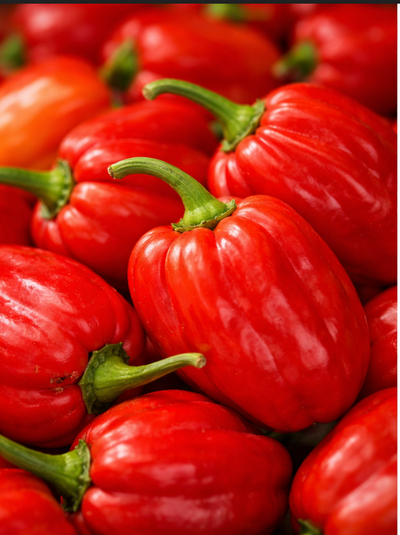 Piment africain Rouge